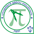 Logo FAST