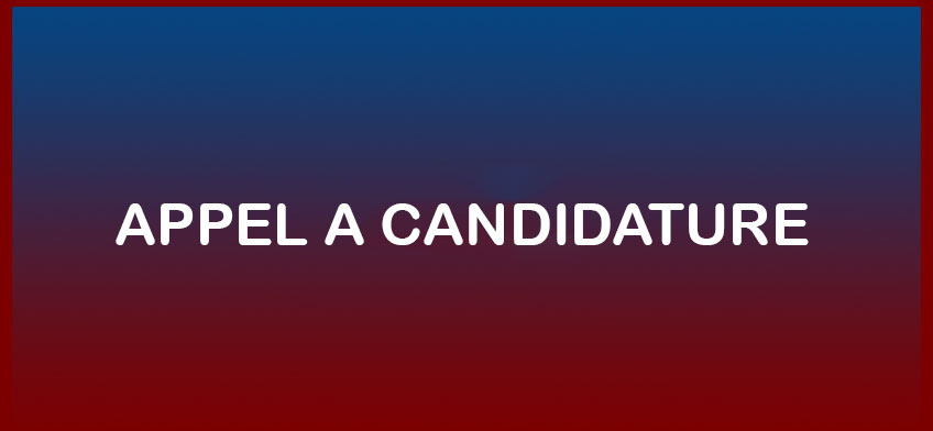 APPEL À CANDIDATURES - Premier appel à mobilité Africa MOVES / 2026 - 2027