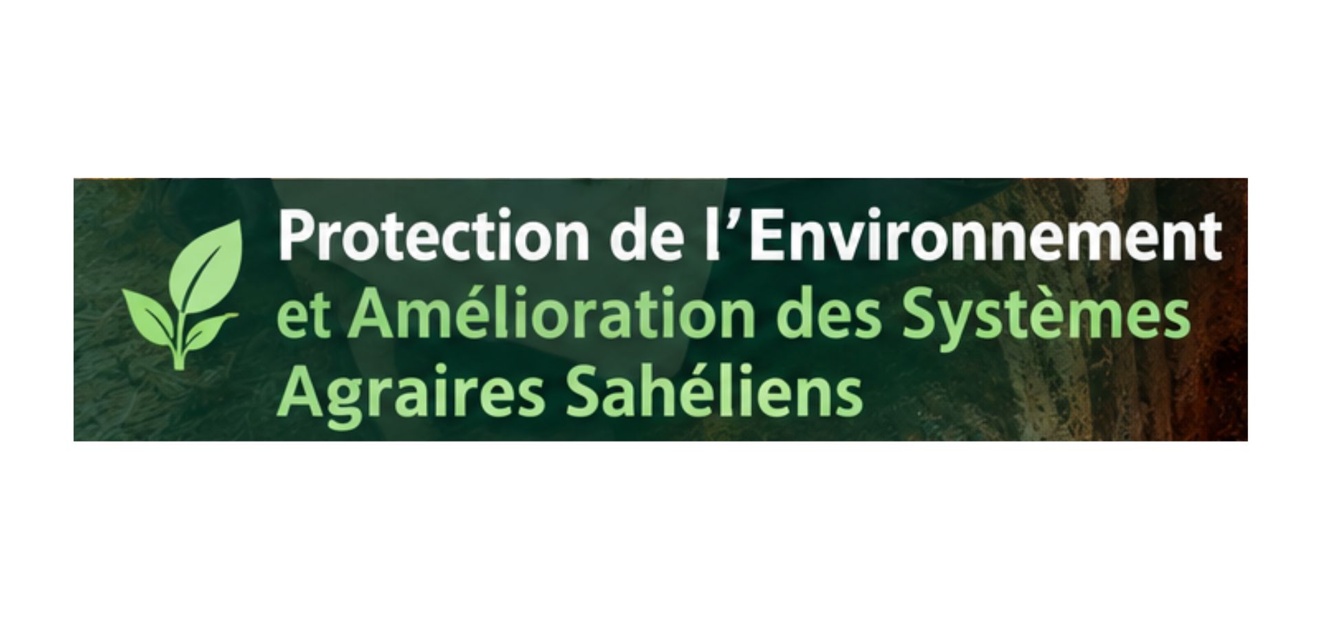 CRESA : MASTER  Protection de l'Environnement et Amélioration des Systèmes Agraires Sahéliens